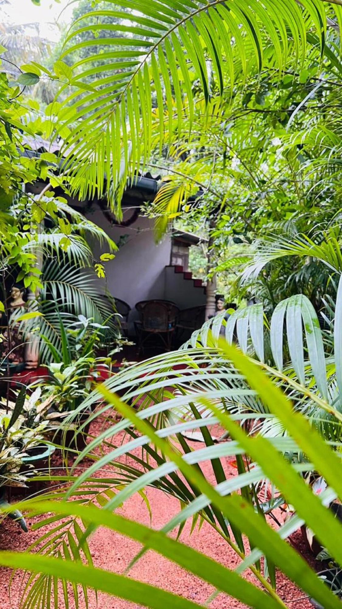 Sigiri Kp Family Home Sigiriya Buitenkant foto