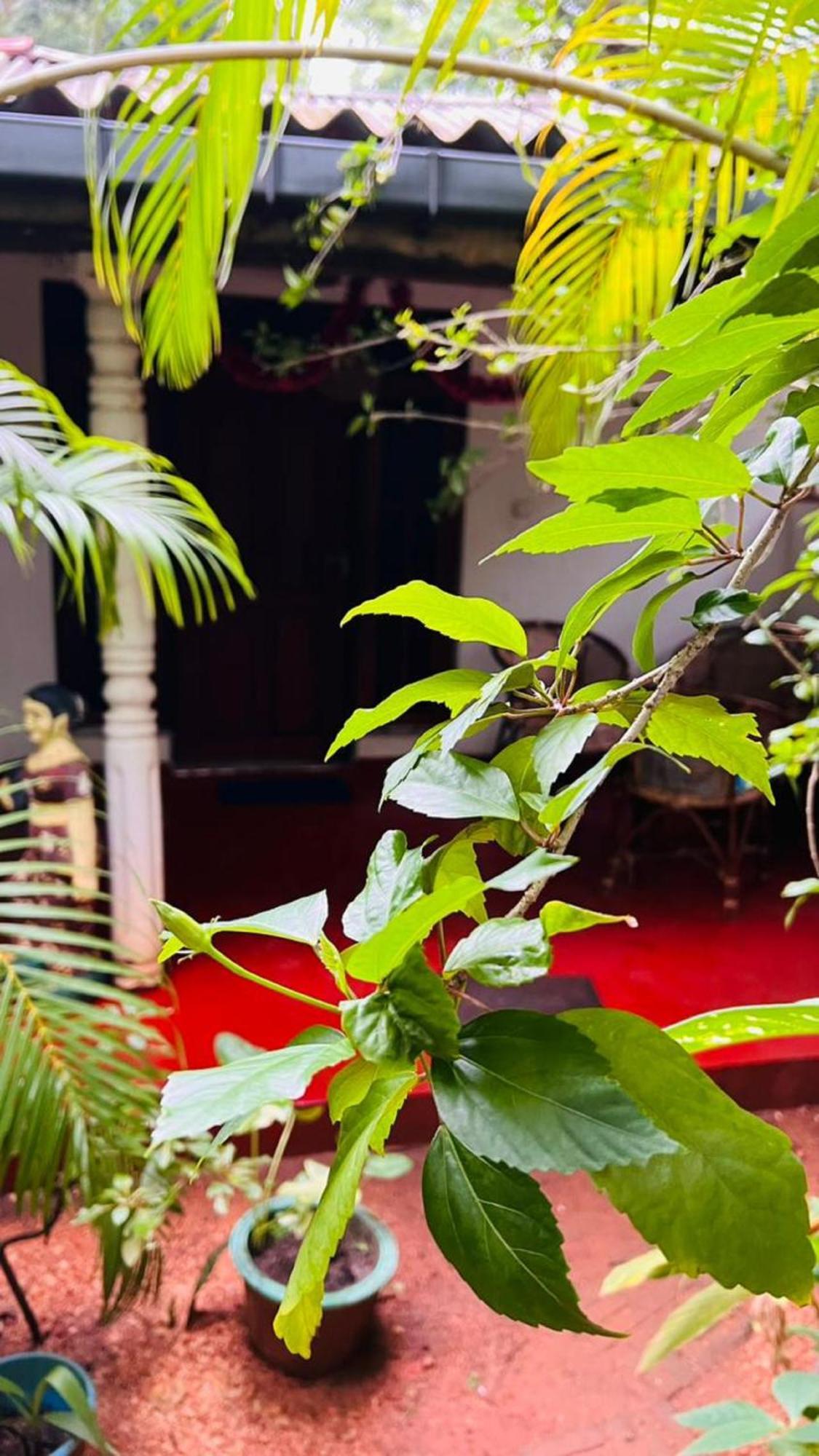 Sigiri Kp Family Home Sigiriya Buitenkant foto